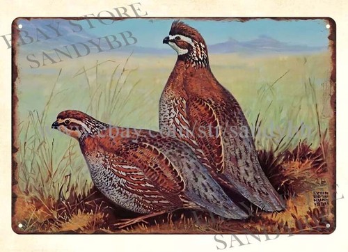 Hunting Quail - Металлическая табличка STORZ BEER LYNN BOGUE